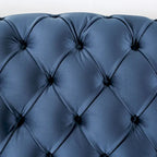 Adeben Transitional Blue Fabric Nailhead Trim Tufted 2-Piece Sofa Set by Furniture of America