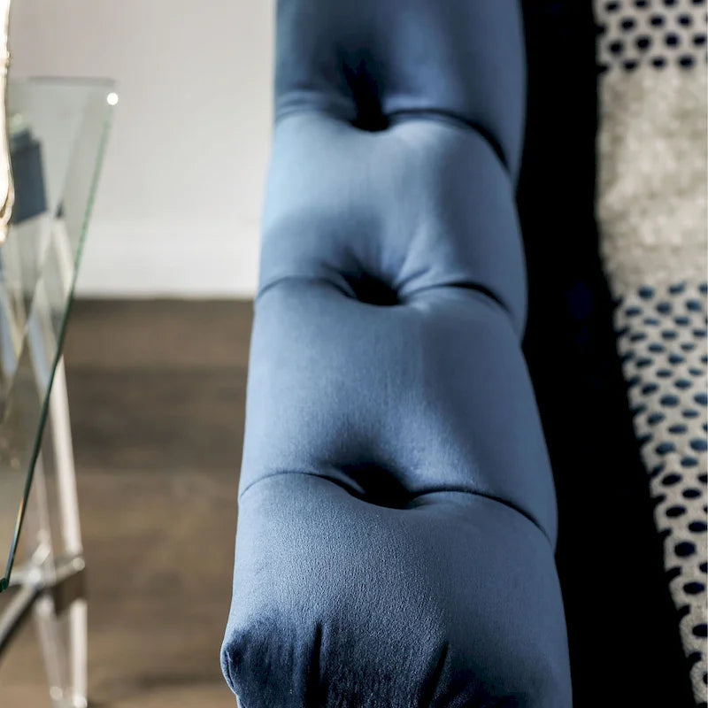 Adeben Transitional Blue Fabric Nailhead Trim Tufted 2-Piece Sofa Set by Furniture of America