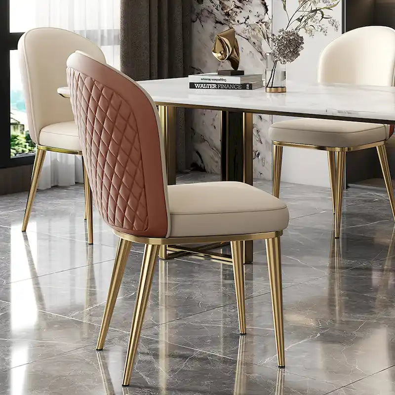 Modern Stainless Steel Leg Back Dining Chairs (Set of 2)