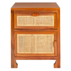 SAFAVIEH Zhane Coastal 1-Drawer 1-Door Nightstand