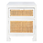 SAFAVIEH Zhane Coastal 1-Drawer 1-Door Nightstand