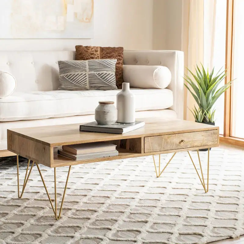 SAFAVIEH Nilgun 1-Drawer 1-Shelf Living Room Coffee Table - 43 W x 21.6 L x 16 H - 43Wx22Dx16H