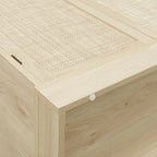 4 Door Cabinet with 1 Drawer with 4 Adjustable Inner Shelves